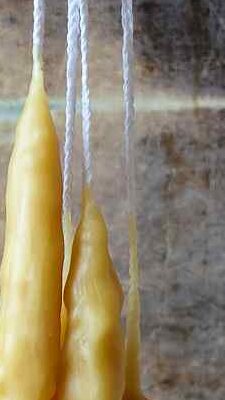 diy beeswax candles