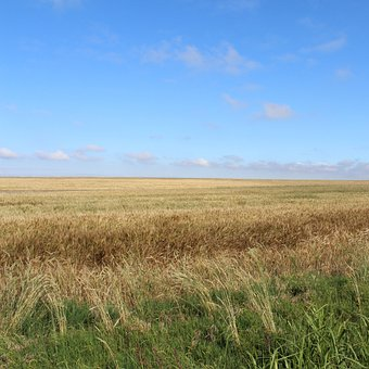 beekeepers in oklahoma
