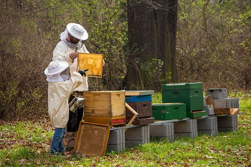 beekeeping equipment